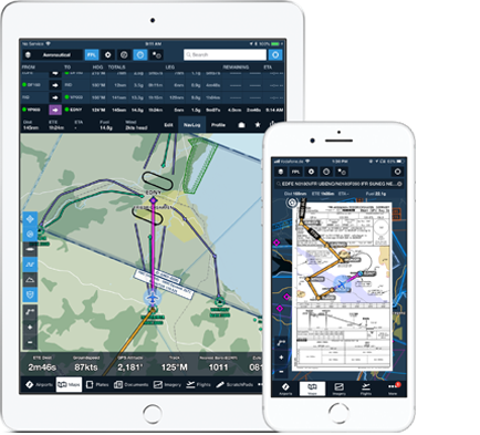 Flight Operation Support System